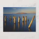 Recherche de sel cartes postales Ciel