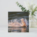 Search for droplets cards Nature