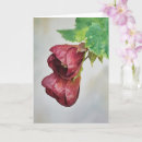 Search for red bell cards Nature