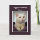 Recherche de kitch cartes postales Animal