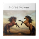 Recherche de étalon carreaux Animaux