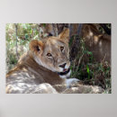 Recherche de wild africa posters Wildlife