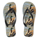 Search for duck with sandals Bird