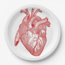 Search for anatomy plates Vintage