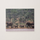 Search for kenya puzzles Nature