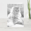 Search for cougar birthday cards Humour