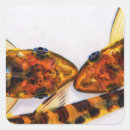 Search for catfish stickers Freshwater