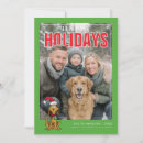 Search for grinch photo holiday cards Peanuts
