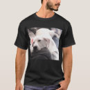 Search for funny get well gifts Husband