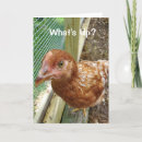 Recherche de cul vœux cartes Cul de poulet