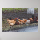 Recherche de bord posters Décoration intérieure
