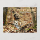 Search for pennsylvania postcards State