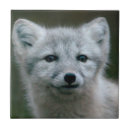 Recherche de arctique carreaux Nature