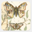 Search for green butterflies stickers Animals