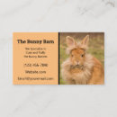 Recherche de rabbit cartes visite Animal