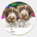 Search for wired stickers Wirehaired