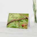 Search for prickly cards Nature