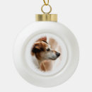 Search for jack russell ornaments Animals