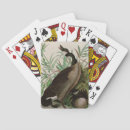 Search for bird playing cards Animal