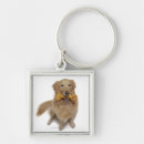 Search for bone keychains Studio shot