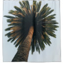 Search for angel bathroom accessories Ocean