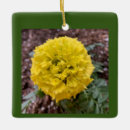 Search for marigold ornaments Yellow