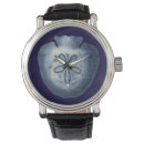 Search for shells watches Coastal