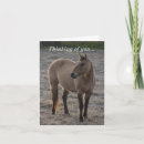 Recherche de pour la perte cheval condoléances condoléances cartes Équin