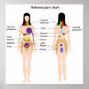 Search for specialist posters Doctor