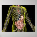 Recherche de digestif posters Médical