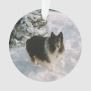 Search for sheltie ornaments Snow