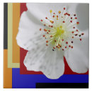 Recherche de blossom carreaux Bleu