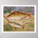 Search for oil panel posters Life
