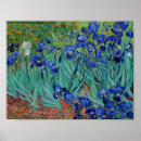Search for vibrant flowers posters Flora