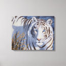 Search for white tiger art Blue eyes