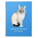 Search for lynx point siamese Cat