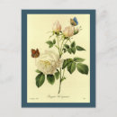 Recherche de redoute cartes postales Vintage