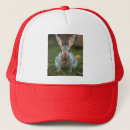 Recherche de lapin de casquettes Bleu
