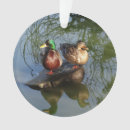 Recherche de ducks ornaments Pour tous