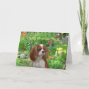 Search for cavalier king charles spaniel cards Puppy
