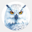Search for snowy owl stickers Wildlife