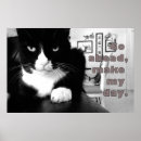 Search for attitude posters Feline