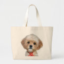 Search for cavapoo accessories Poodle