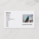 Recherche de perruche cartes visite Oiseau