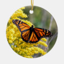 Search for monarch ornaments Insect
