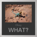 Recherche de lizards posters Pour lui
