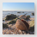 Recherche de coquillage horloges Romantique