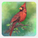 Search for cardinal bird art stickers Red