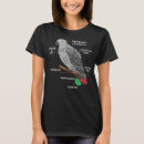 Recherche de anatomie de gris Animal