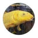 Recherche de poisson rouge planches à découper Japonais
